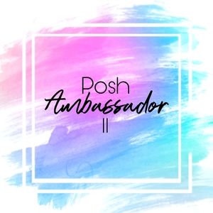 Posh Ambassador II Closet!